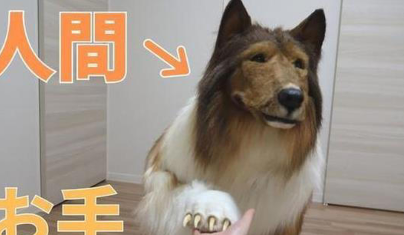 微信图片_20241227102818.png
