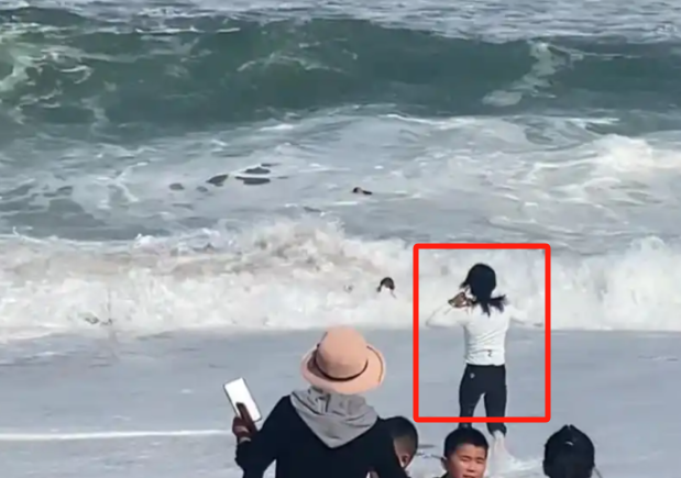 微信图片_20250201102655.png